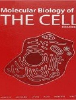Molecular Biology Of The Cell Pdf